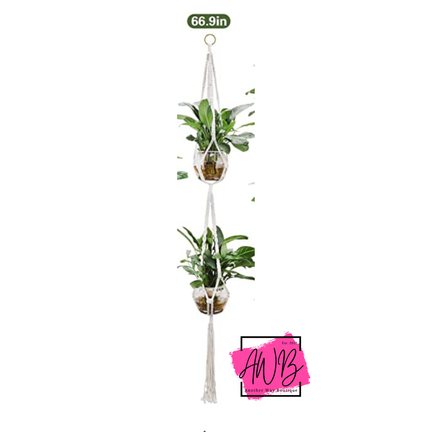 Plant Macrame