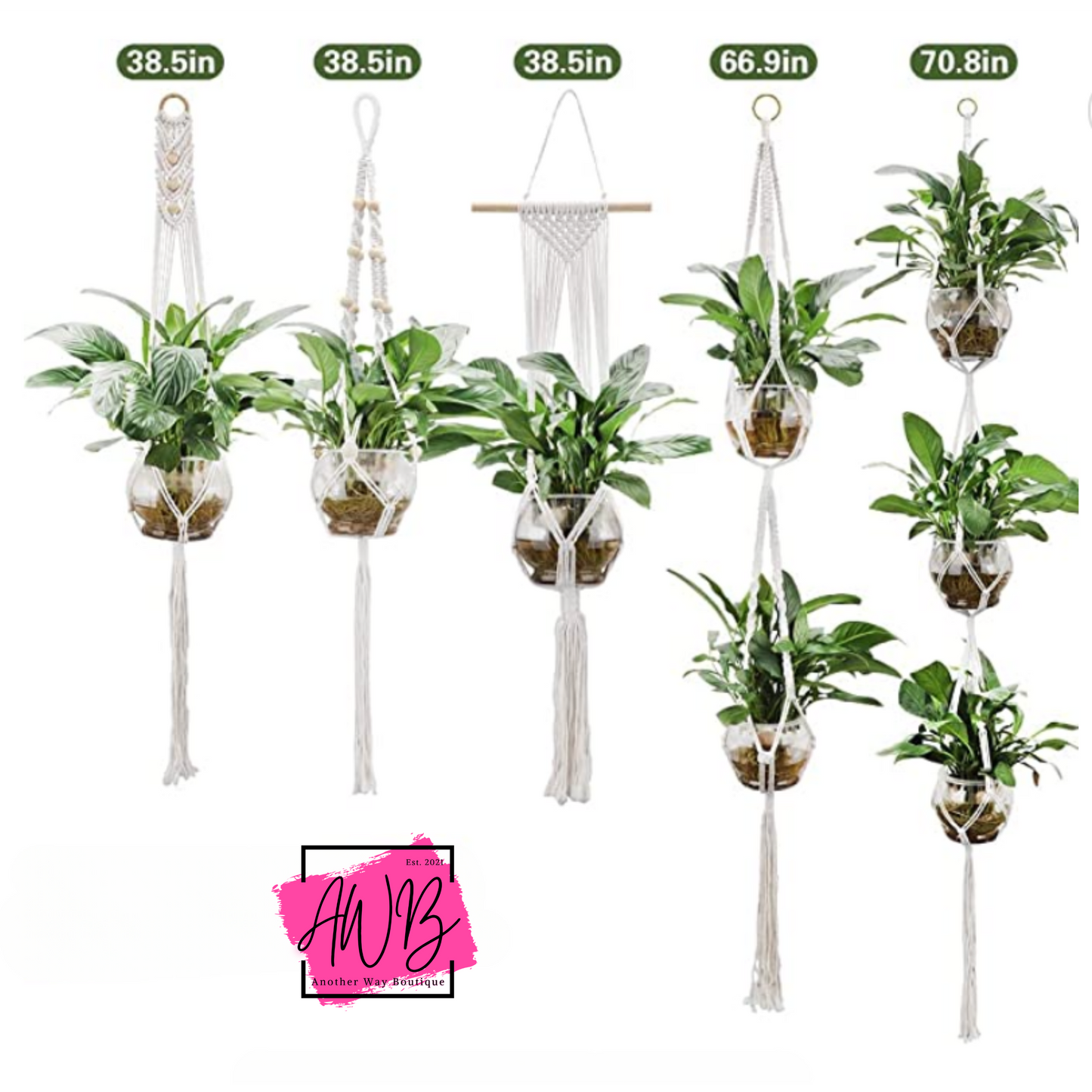 Plant Macrame