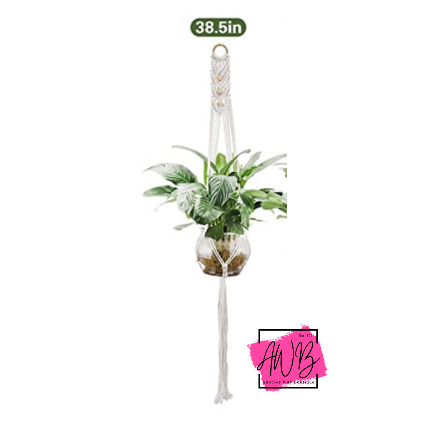Plant Macrame