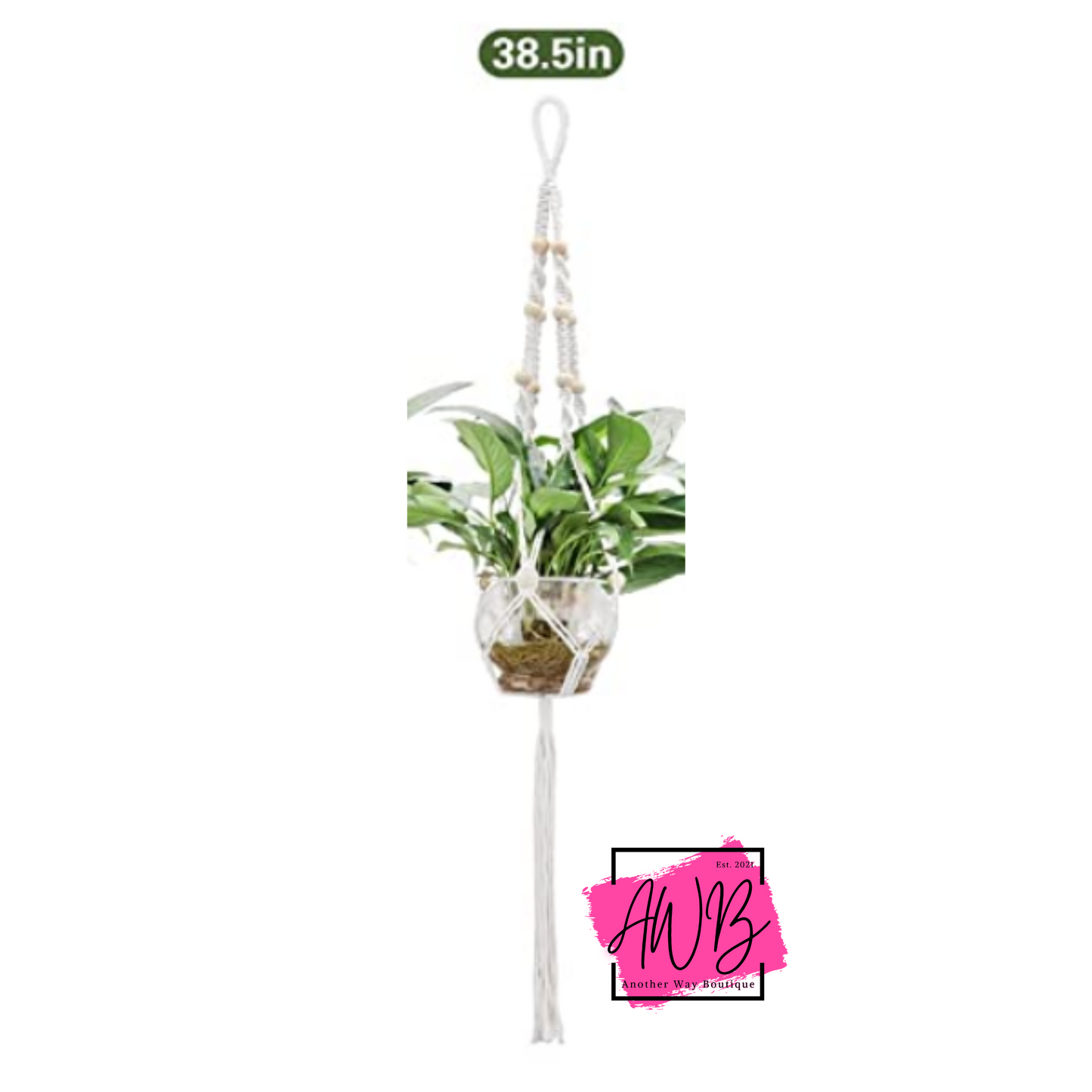 Plant Macrame