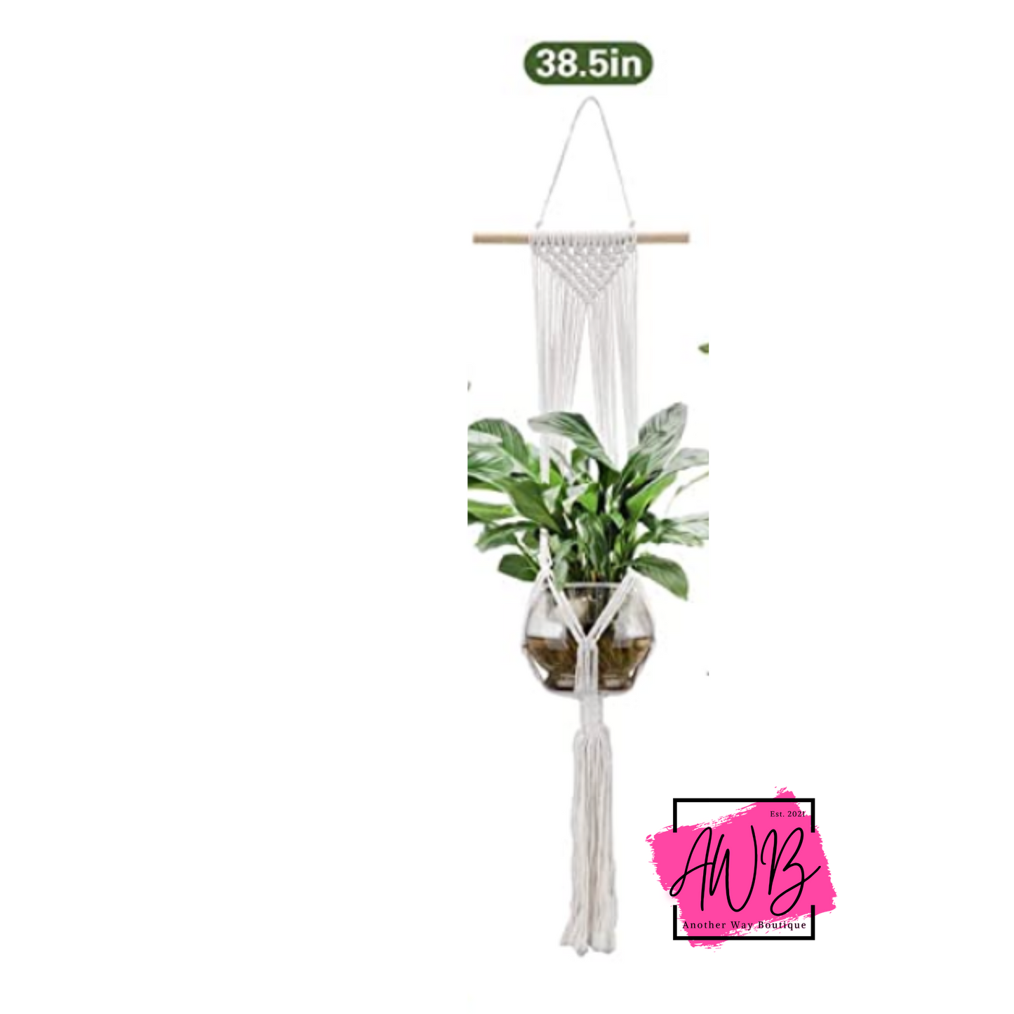 Plant Macrame