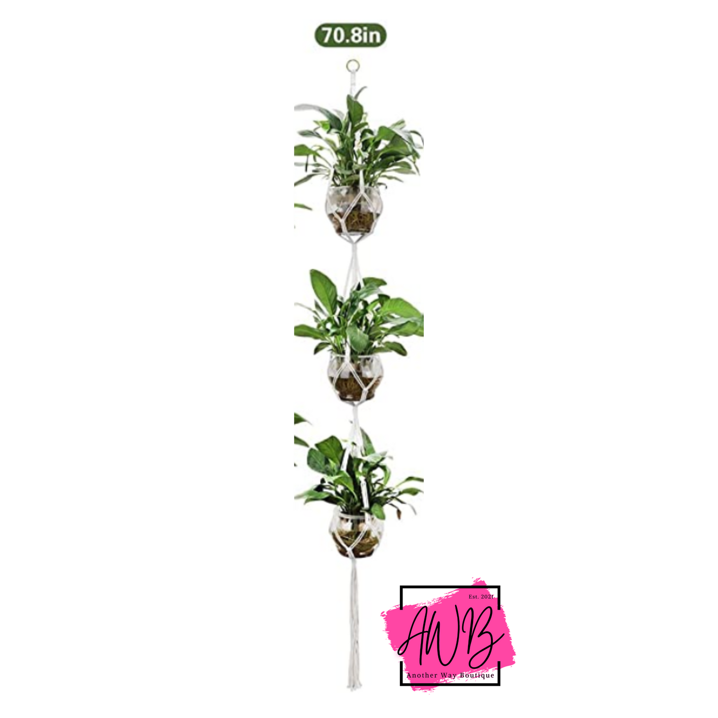 Plant Macrame
